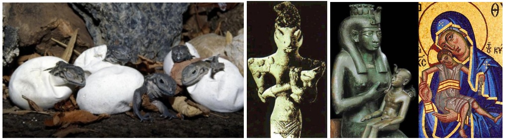 Reptilin egg mother