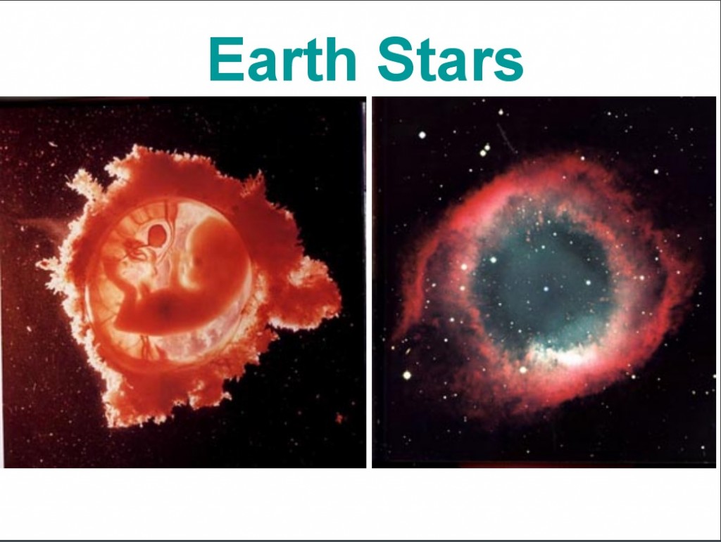 fetus and stars
