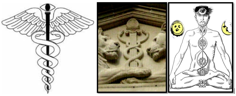caduceus